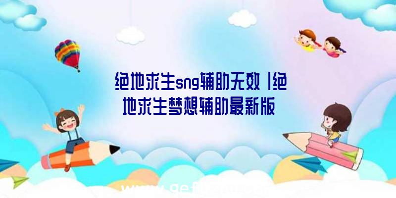 「绝地求生sng辅助无效」|绝地求生梦想辅助最新版